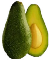 Aguacate Zutano