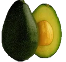 Aguacate Bacon