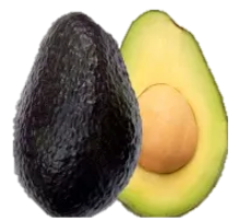 Aguacate Hass
