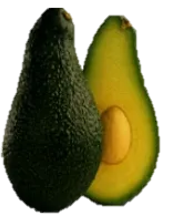 Aguacate Pinkerton