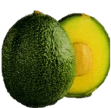 Aguacate Reed
